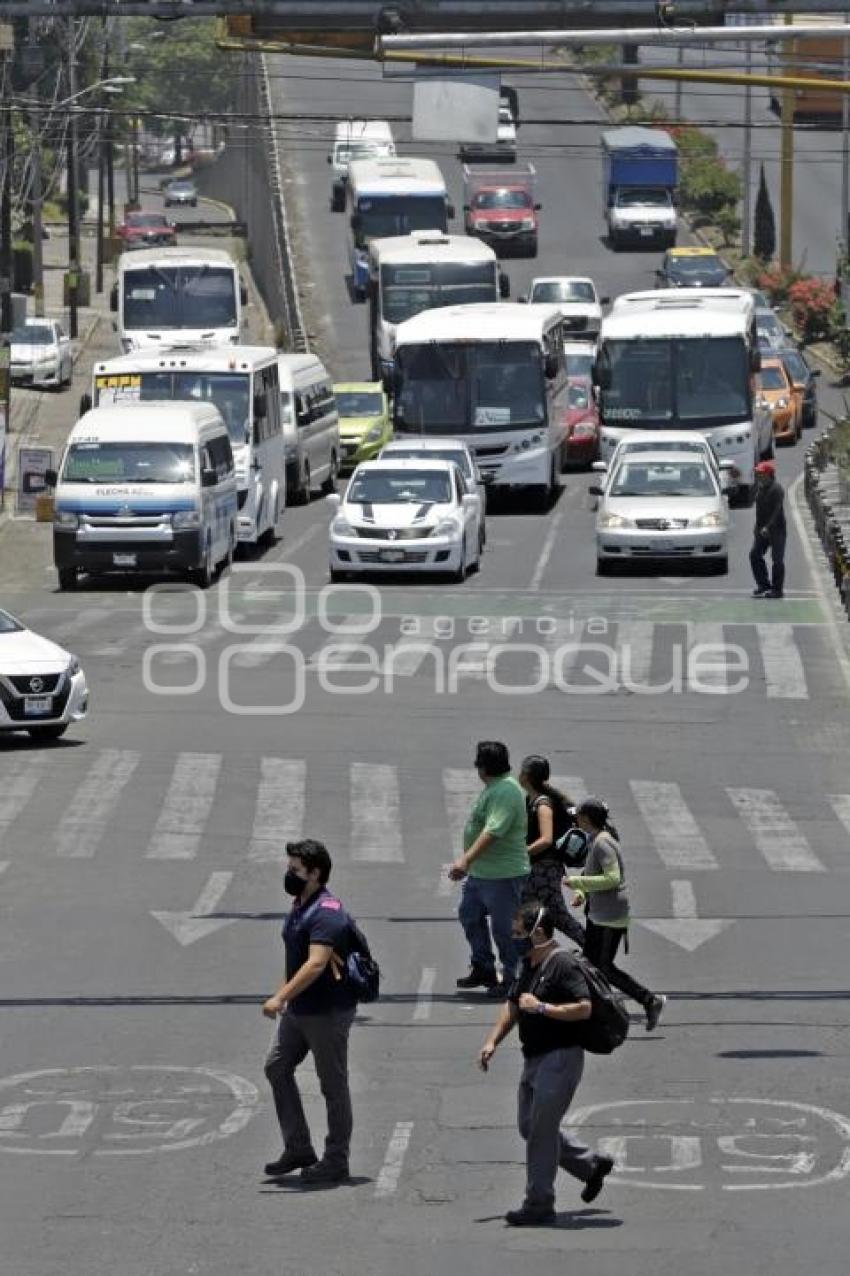 TRÁFICO VEHICULAR