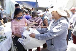 MERCADO MORELOS DESPENSAS