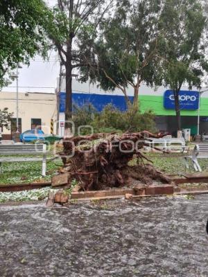 TEHUACÁN . TROMBA