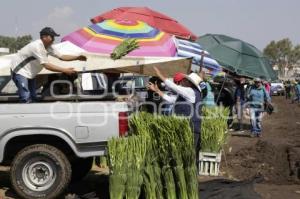 VENTA DE FLOR . PÉRDIDA ECONOMICA