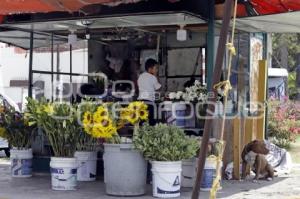 DÍA DE LA MADRE . FLORES