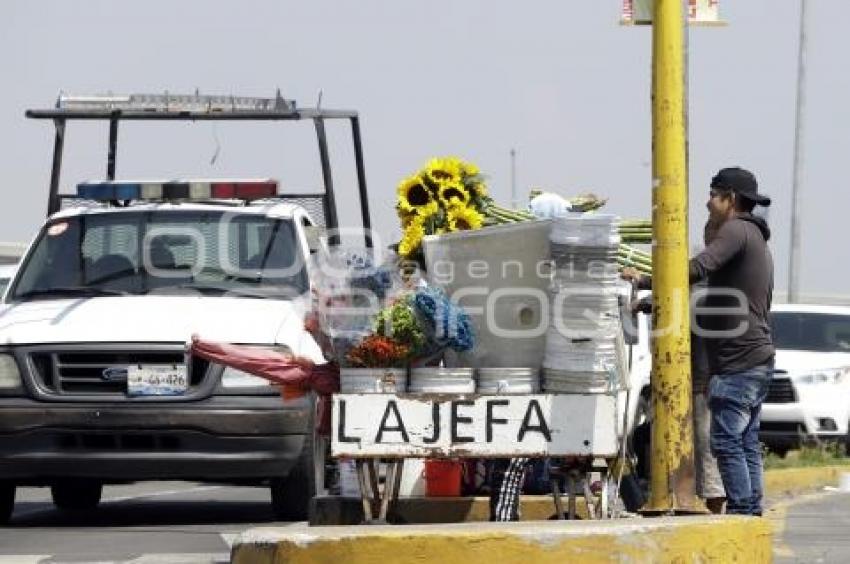 DÍA DE LA MADRE . FLORES