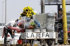 DÍA DE LA MADRE . FLORES