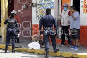 SUMA . ACCIDENTE DE PEATÓN