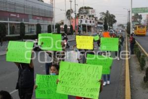 TEXMELUCAN . MANIFESTACIÓN