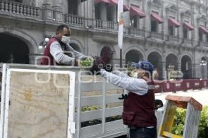 ZOCALO . PARQUES Y JARDÍNES