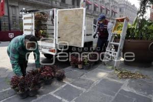 ZOCALO . PARQUES Y JARDÍNES