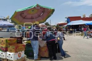 TIANGUIS LA CURVA