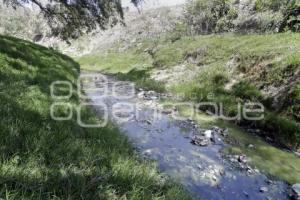 RÍO ALSESECA . CONTAMINACIÓN