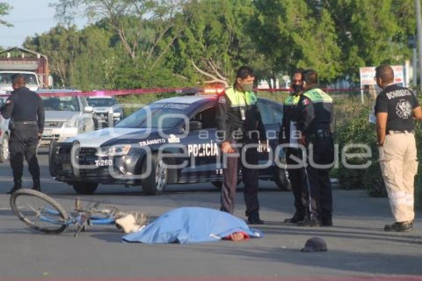 TEHUACÁN . ATROPELLADO