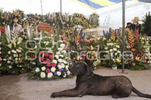 FUNERAL GARDENIA Y DULCE