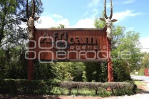 AFRICAM SAFARI