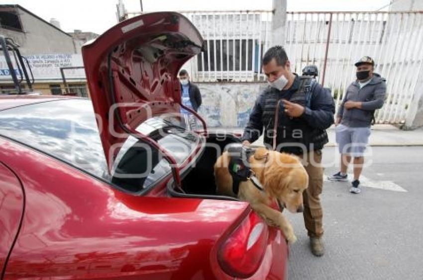 OPERATIVO GUARDIA NACIONAL