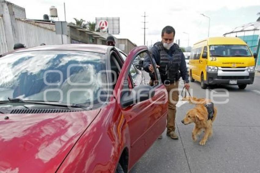 OPERATIVO GUARDIA NACIONAL