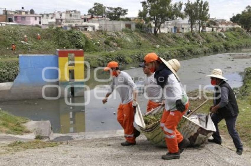 PUENTE NEGRO . LIMPIEZA