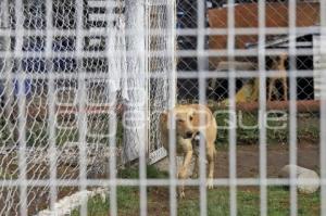 ESTANCIA CANINA