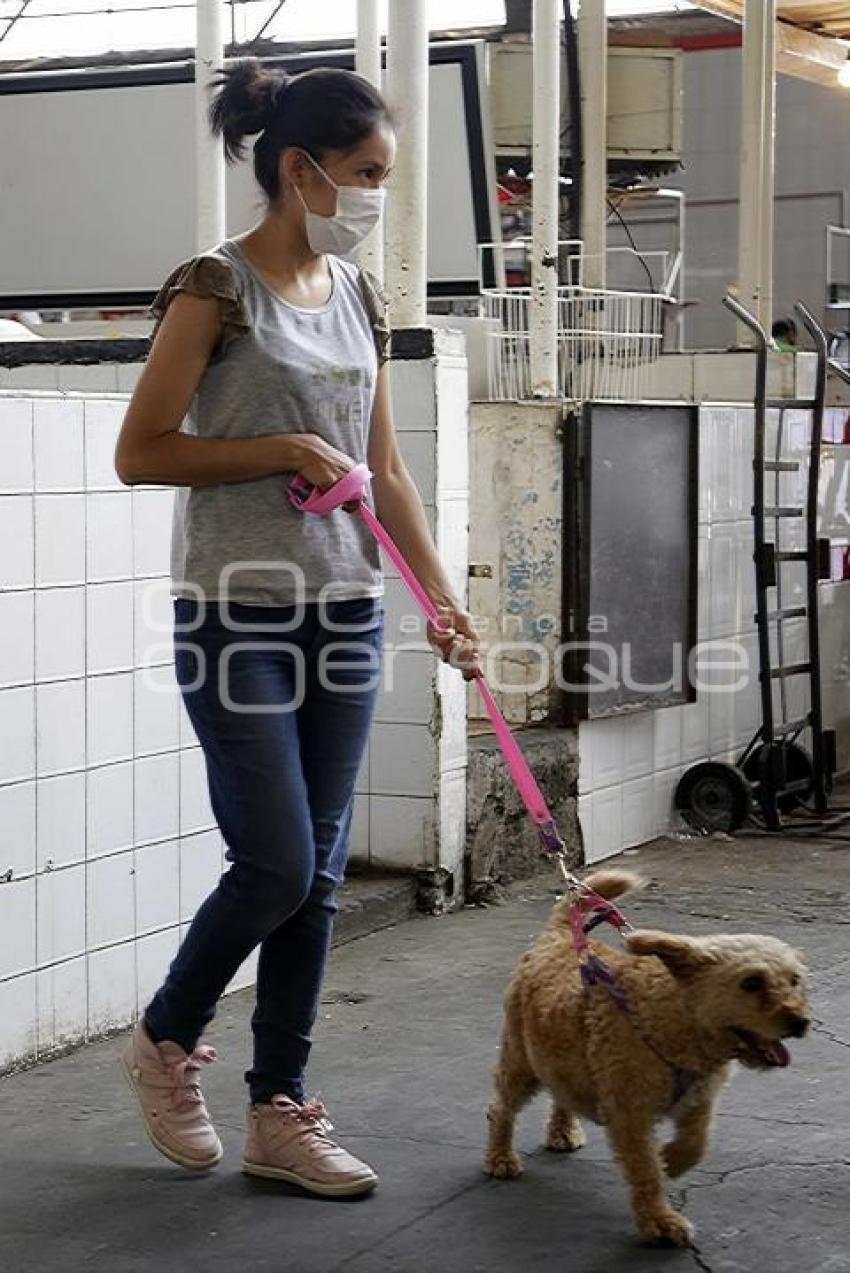 DÍA MUNDIAL DEL PERRO