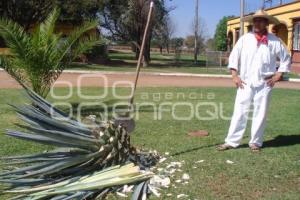 DÍA INTERNACIONAL DEL TEQUILA