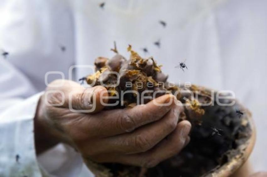 CUETZALAN . MIEL TRADICIONAL