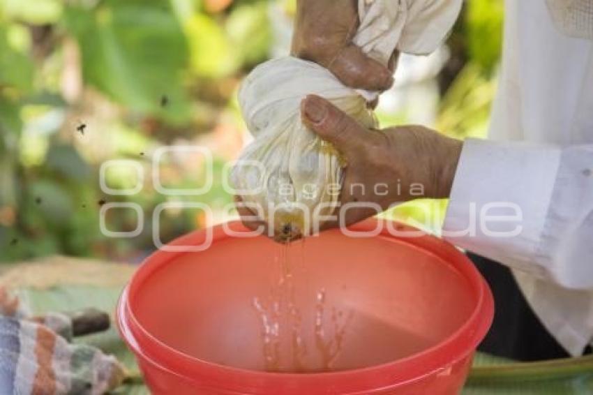 CUETZALAN . MIEL TRADICIONAL