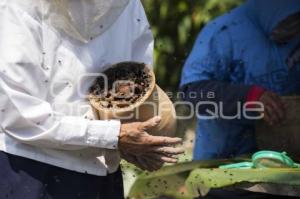 CUETZALAN . MIEL TRADICIONAL