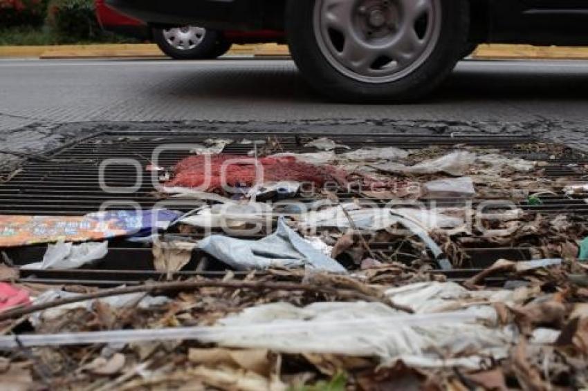 BASURA EN ALCANTARILLAS