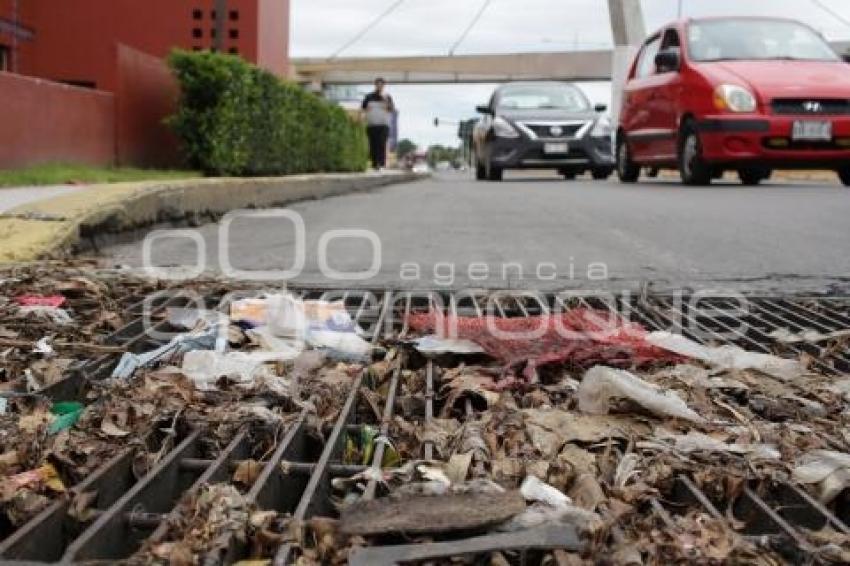 BASURA EN ALCANTARILLAS