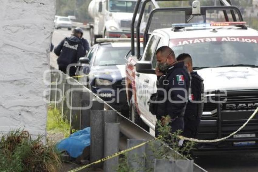 ATROPELLADO AUTOPISTA