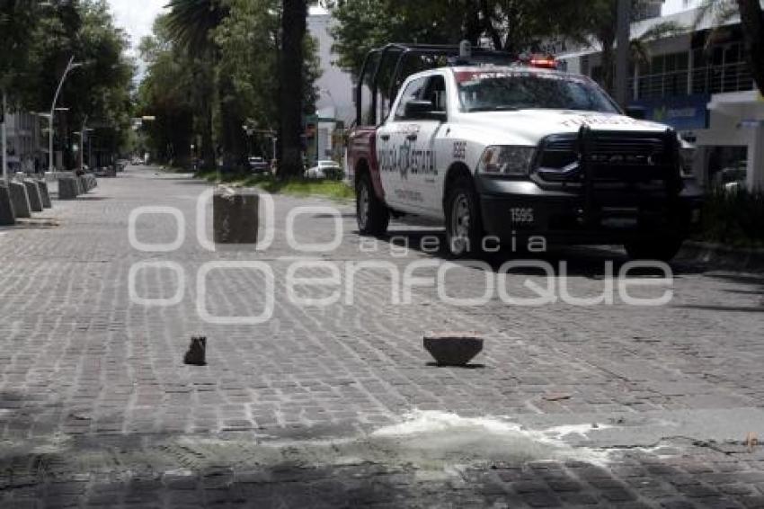 REHABILITACIÓN AVENIDA JUÁREZ