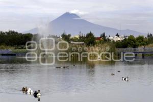 REAPERTURA LAGUNA CHAPULCO