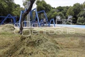 REAPERTURA PARQUE JUÁREZ