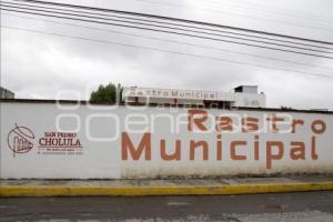 RASTRO . SAN PEDRO CHOLULA