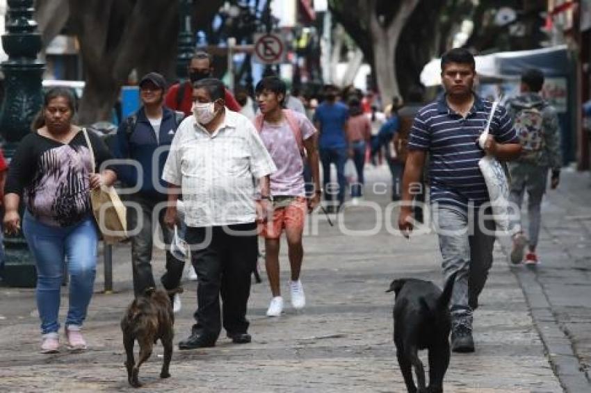 AFLUENCIA CENTRO HISTÓRICO