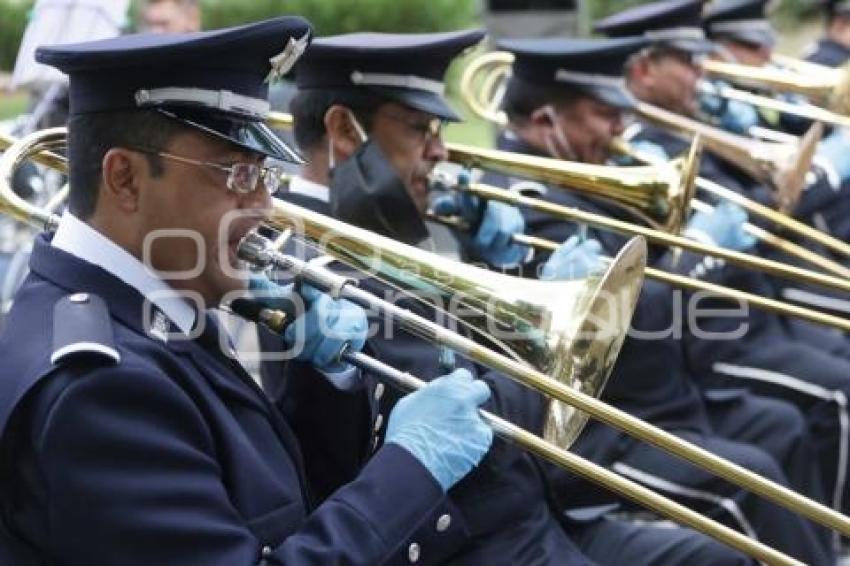 MÚSICOS . NUEVA NORMALIDAD