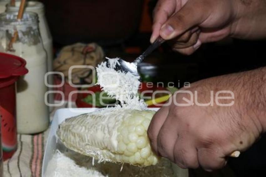 ELOTE TRICOLOR