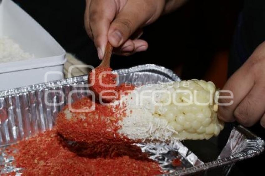 ELOTE TRICOLOR