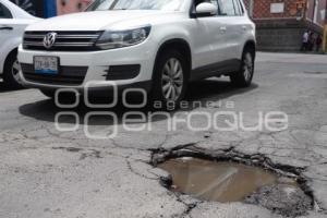 BACHES