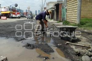 BACHE 95 PONIENTE