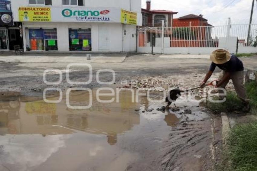 BACHE 95 PONIENTE