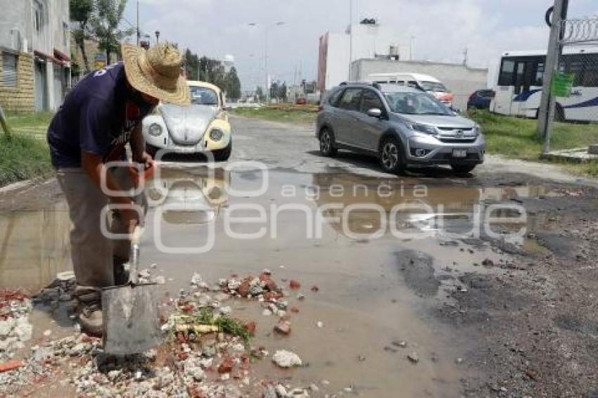 BACHE 95 PONIENTE