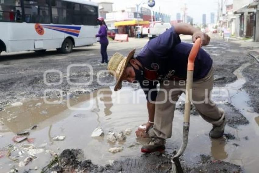 BACHE 95 PONIENTE