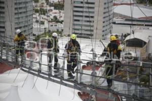PUENTE DE CRISTAL