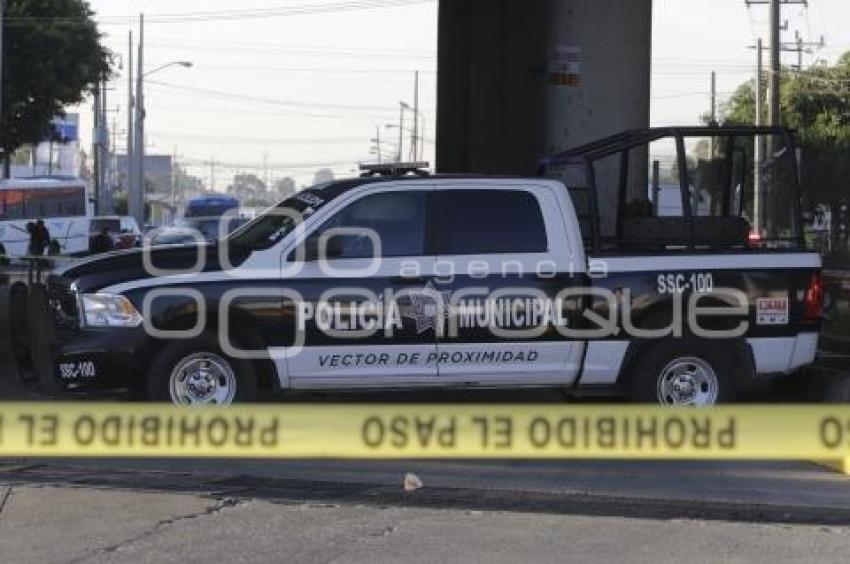 RESTOS HUMANOS . AUTOPISTA