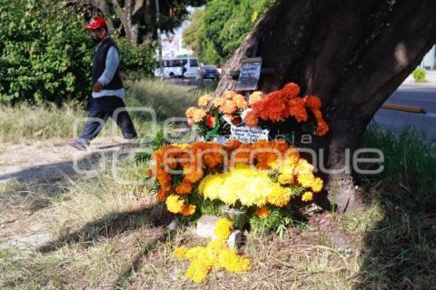 DÍA DE MUERTOS . ACCIDENTADOS