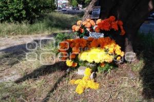 DÍA DE MUERTOS . ACCIDENTADOS