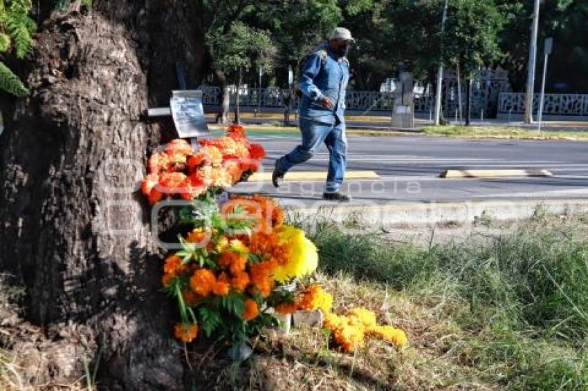 DÍA DE MUERTOS . ACCIDENTADOS