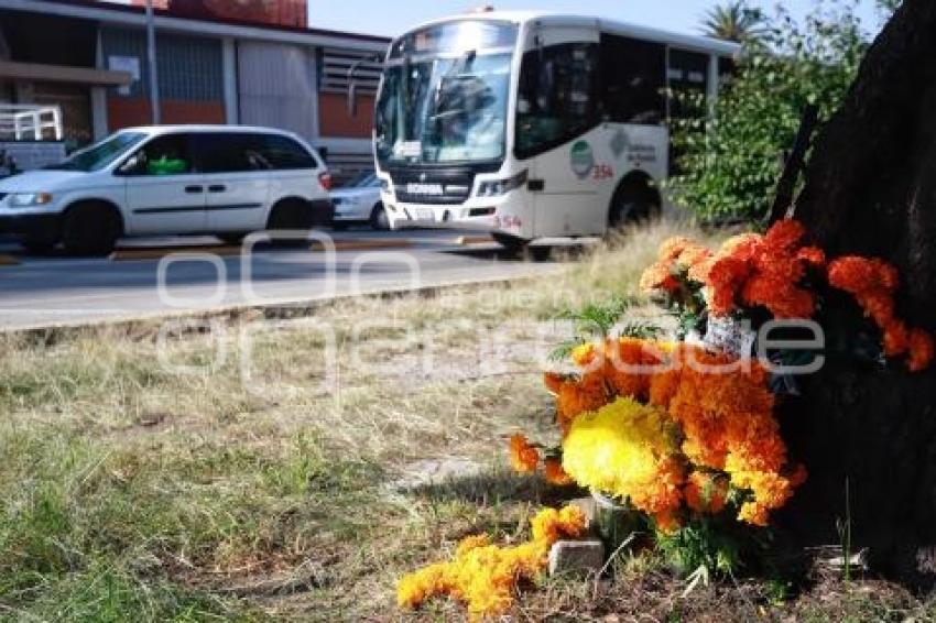 DÍA DE MUERTOS . ACCIDENTADOS