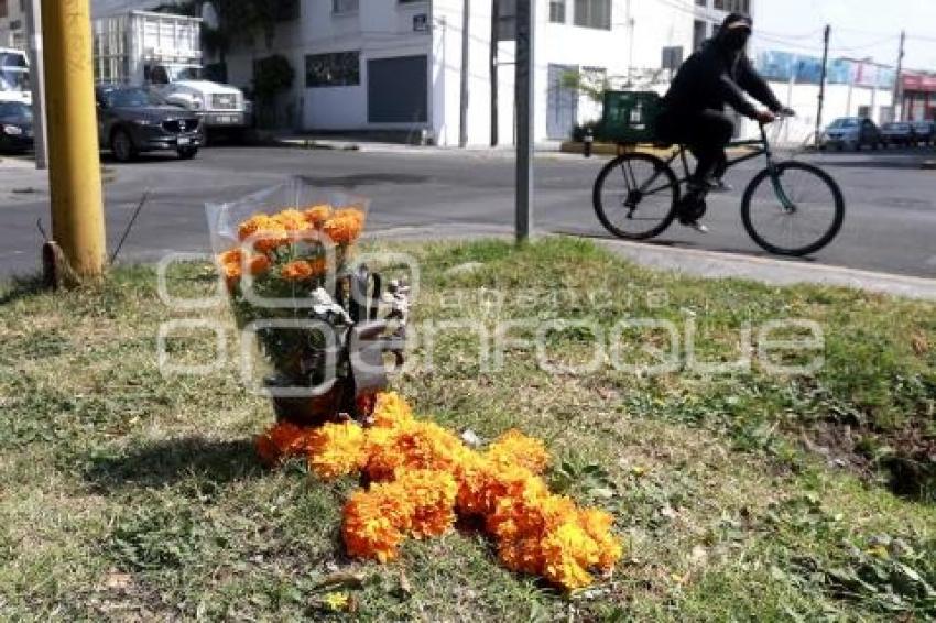 DÍA DE MUERTOS . ACCIDENTADOS