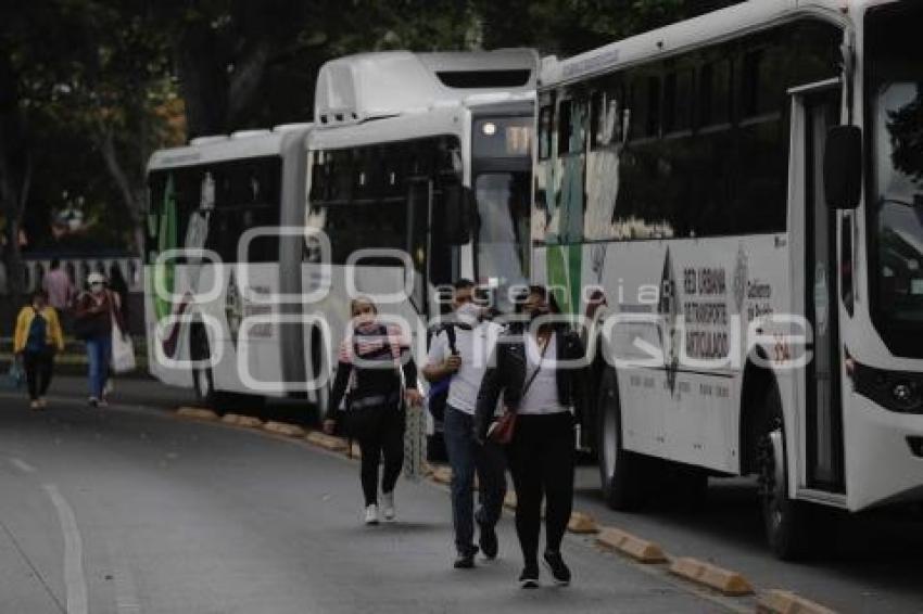 MANIFESTACIÓN CONDUCTORES PLATAFORMAS