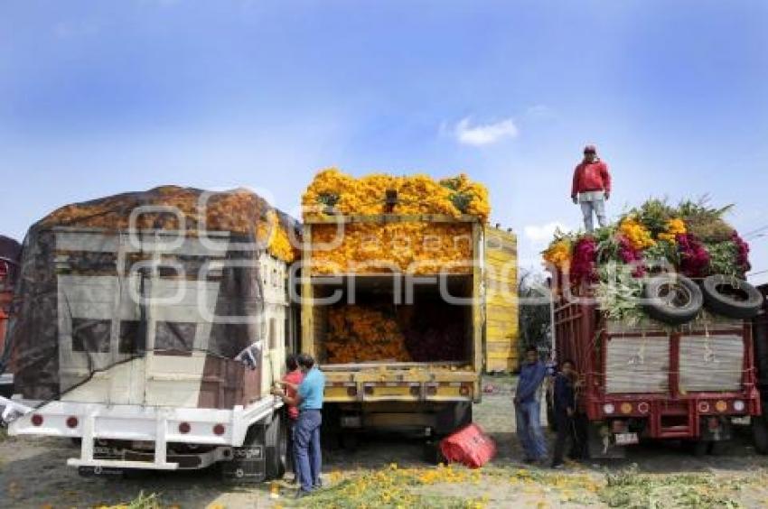 ATLIXCO . VENTA DE FLOR